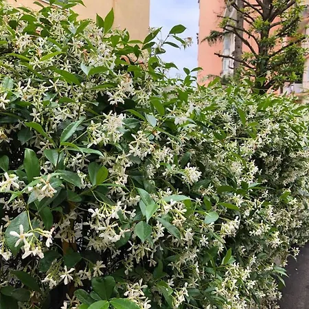 La Casa Nel Parco Bed and breakfast
