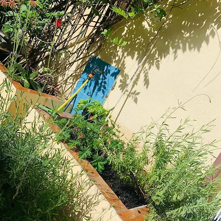 La Finestra Nel Giardino *