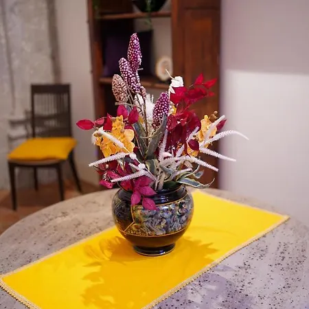 Casa Napoletana - Culture