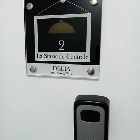 Delia & Gallery