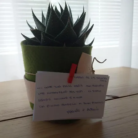 Donna Lucia Panzió Nápoly