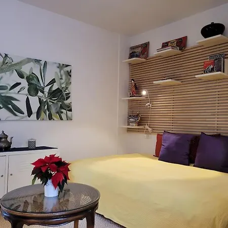 Apartment S- Loft With Balcony In The Historic Center