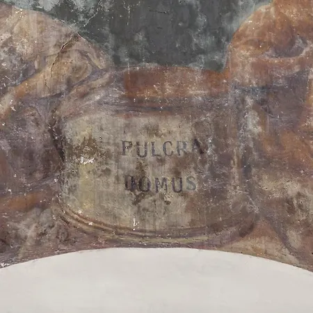 Pulcra Domus *