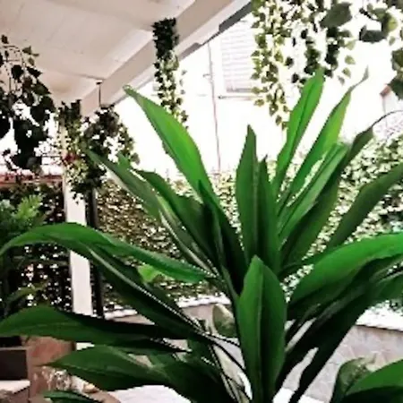 Casa vacanze Borgo Loreto Napoli