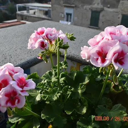 Apartamento Casa Materdei *