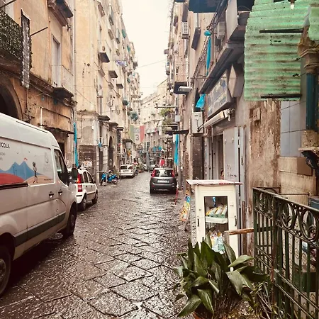Civico 81 * Naples