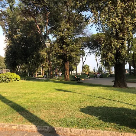 Merlino