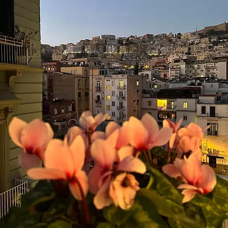 Insogno Pensión
