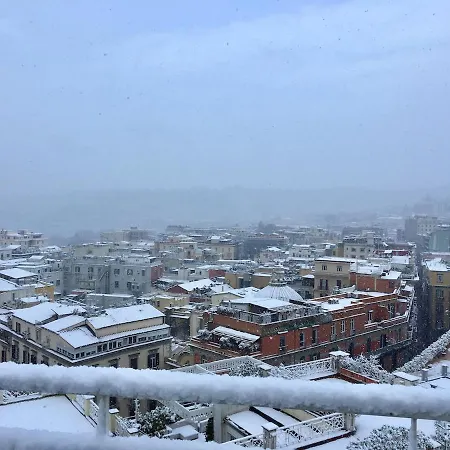 Rashida's Zen Terrace * Naples
