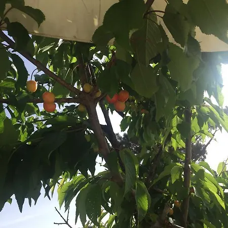 Zia Bi Alojamento de Acomodação e Pequeno-almoço *