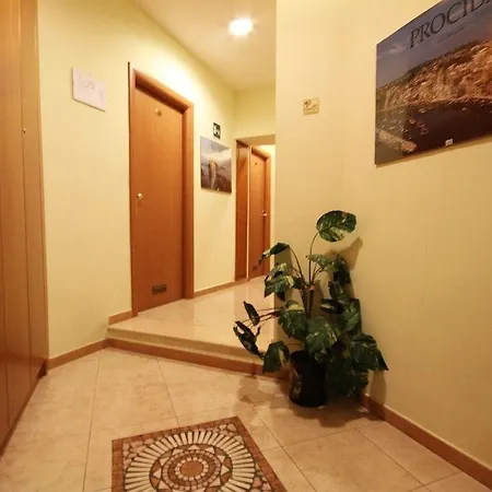 Hotel Zara