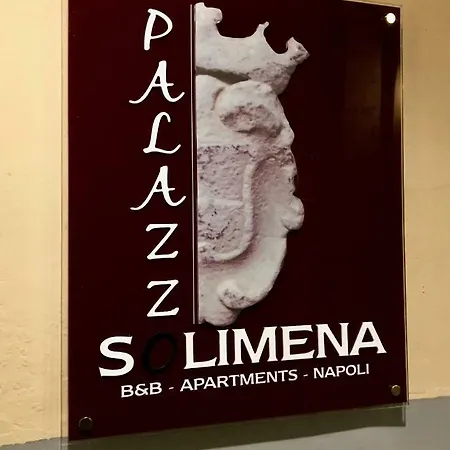 בית הארחה Palazzo Solimena *