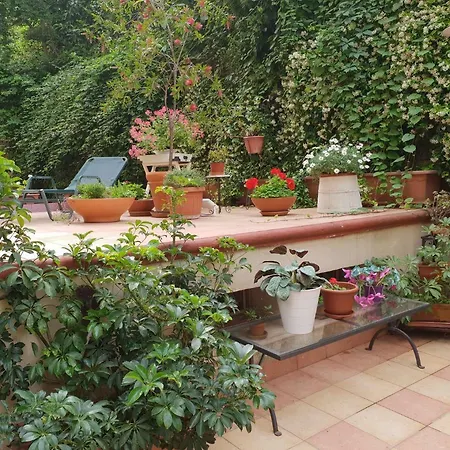 Guest house Michelangelo