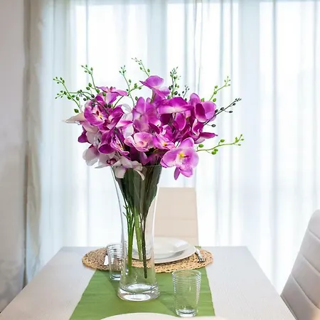 Casa vacanze Parthenope House