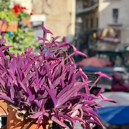 Il Sole Di Montesanto * Napoli
