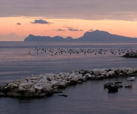 Bed & Breakfast Terrazze Del Lungomare Naples