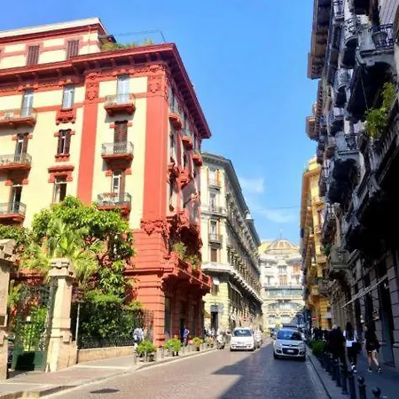 Venustaschiaia Neapol