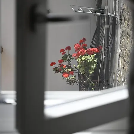 Casa Donna Francy Center Guest house Naples