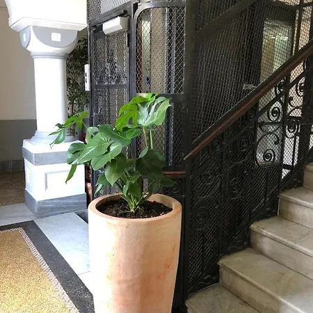 Cimarosa Hotel 3*