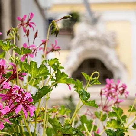 Casajammone * Naples