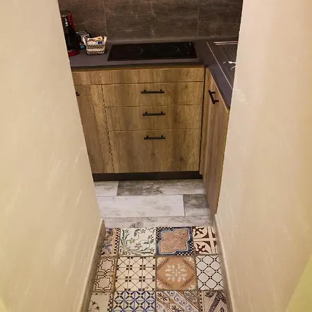 Apartment Plebiscito House -