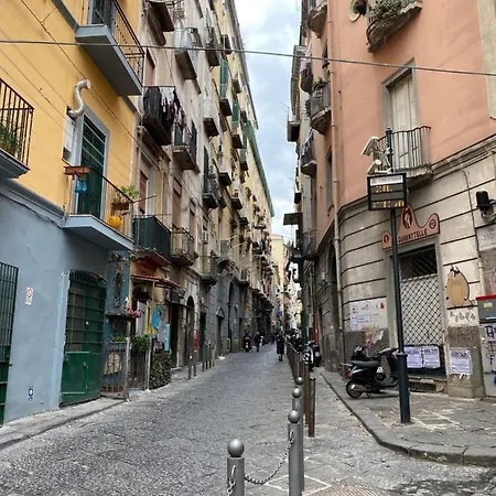 Apartment Casa Sofia