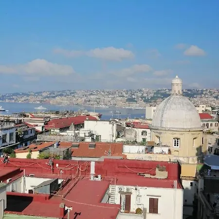 Little Angle Of Paradise * Naples