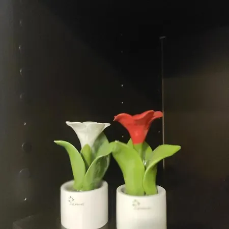 Apartmán Zia Rose Neapol
