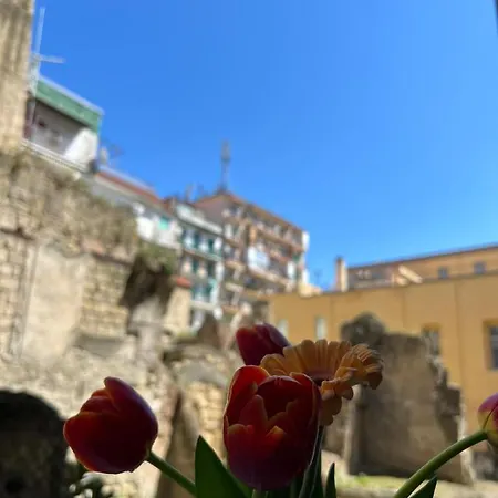 Centro, A Windows On The Monuments * Naples
