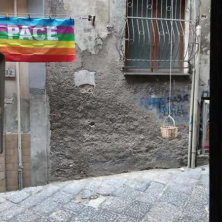 Apartment Pistorius Naples