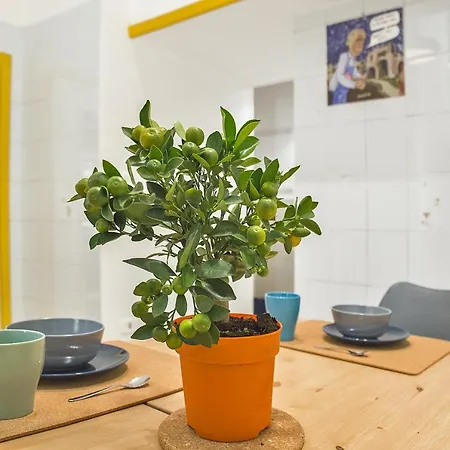 26 Urban Bed & Breakfast 3*