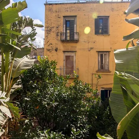26 Urban 3* Naples