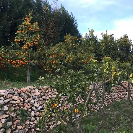 La Tenuta Michele Bed & Breakfast *