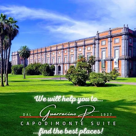 Guarracino P. Capodimonte Apartment *