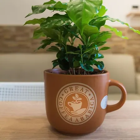 Apartmán Il Tempo Di Un Caffe *