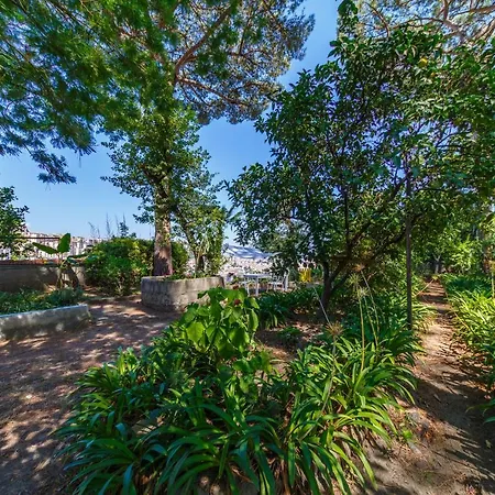 Apartment Romantic Place With Pines, Cats, Stunning View And Parking