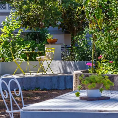 Apartment Romantic Place With Pines, Cats, Stunning View And Parking