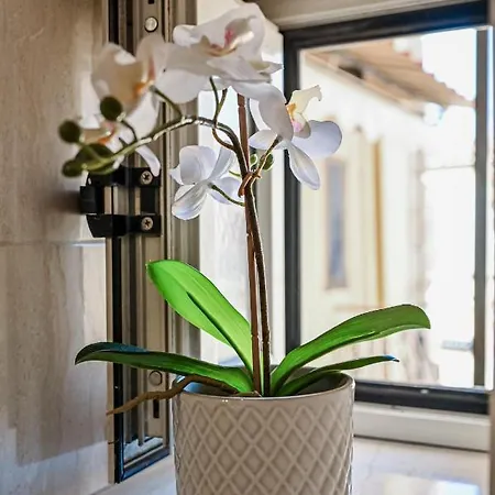 Bed & Breakfast Cozy Naples