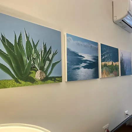 Aurelia's Apartment