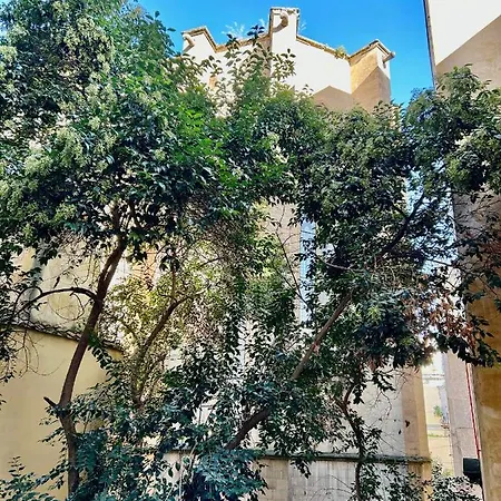 Savastano House Duomo Guest house *