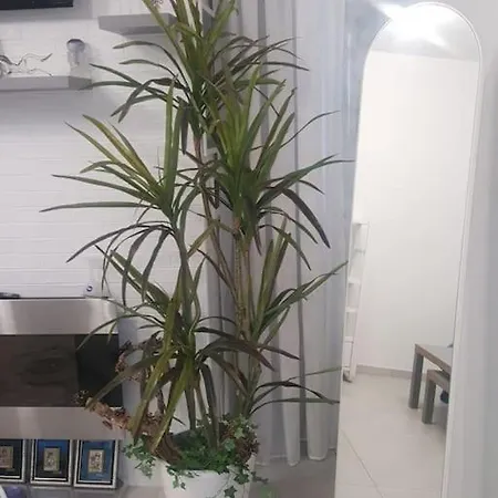 Apartment Sofia House Living In The Heart Of *
