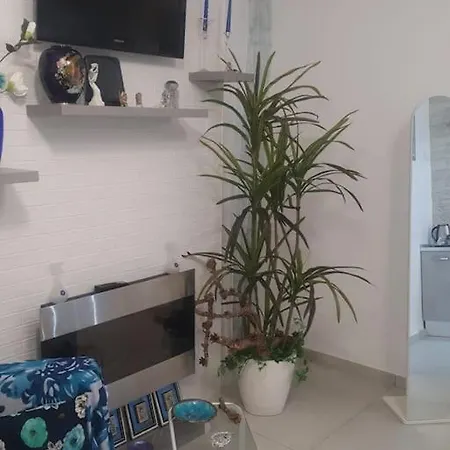 Sofia House Living In The Heart Of *
