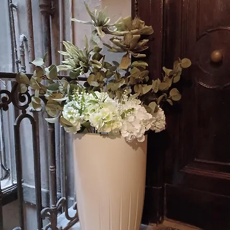 Domus Duomo Bed & Breakfast *