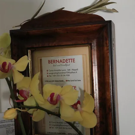 Bed & Breakfast Bernadette