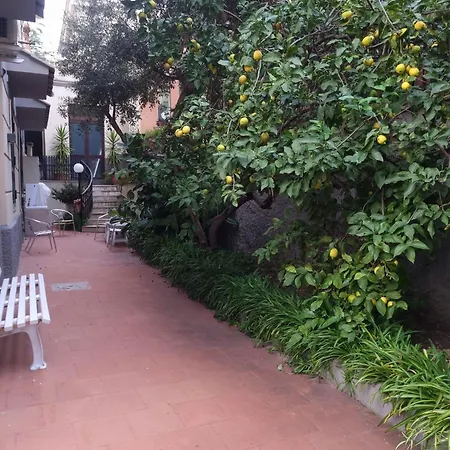 La Casetta Di Oppi Apartment