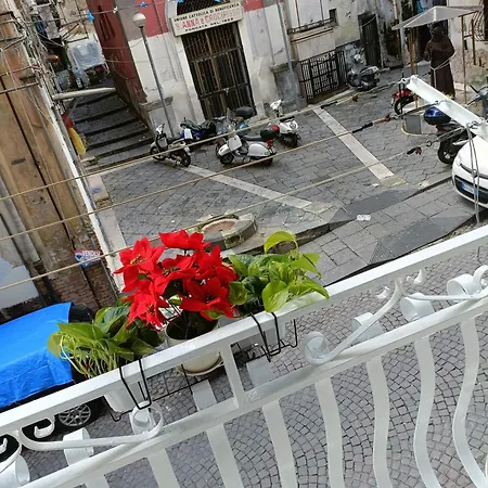 Domus Dante Al Balconcino Apartment
