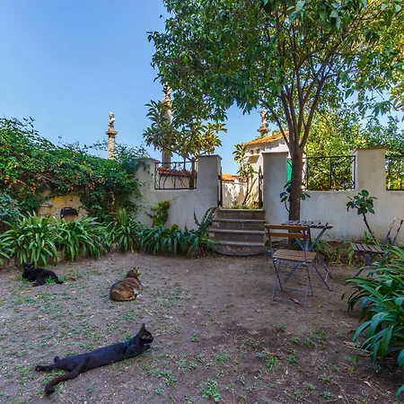 Apartment Romantic Place With Pines, Cats, Stunning View And Parking *