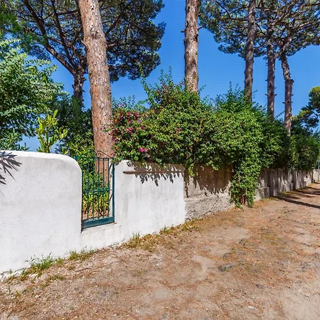 Apartment Romantic Place With Pines, Cats, Stunning View And Parking Naples