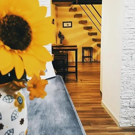Rega House Bed & Breakfast *