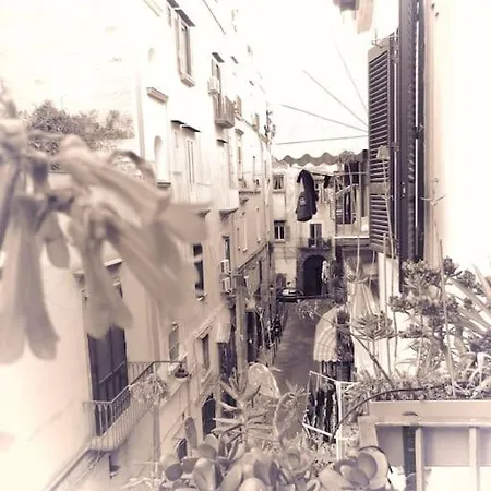 Apartment 4p Casa